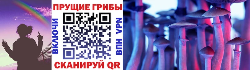 Галлюциногенные грибы GOLDEN TEACHER  Купить закладки  Чердынь 